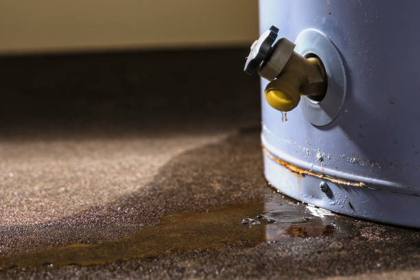 Best 24/7 water damage repair  in Glassboro, NJ