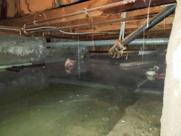 Best Water damage restoration specialists  in Glassboro, NJ