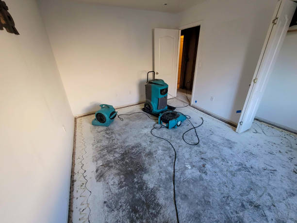Best Flooded house restoration  in Glassboro, NJ