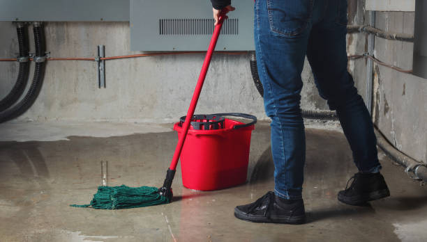 Best Ceiling water damage repair  in Glassboro, NJ